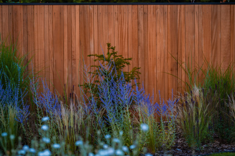 Tuin 2025 04
