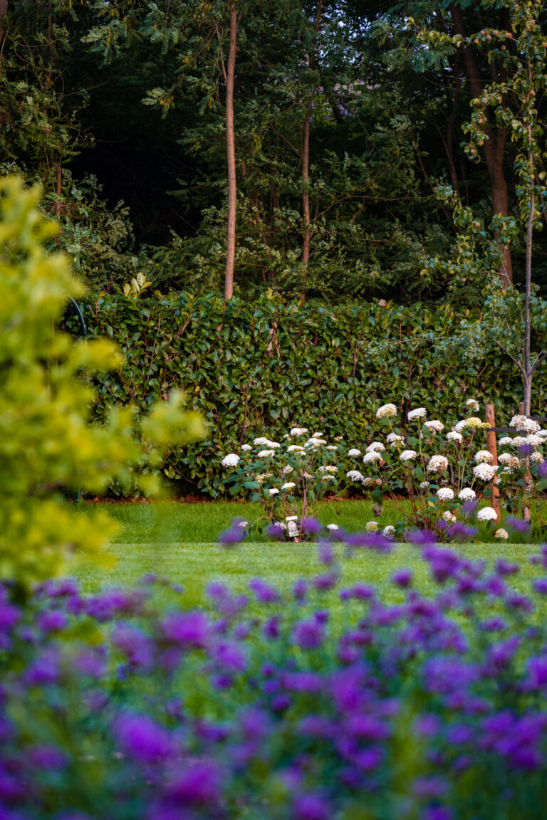 Tuin 2025 08