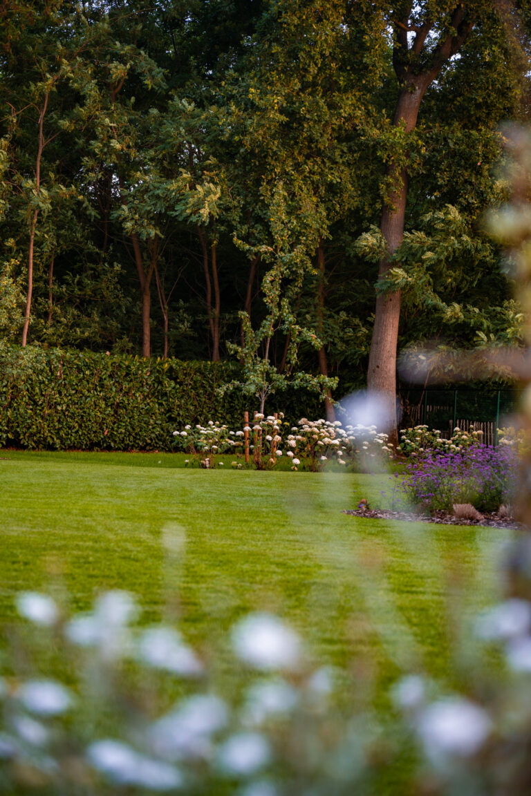 Tuin 2025 14