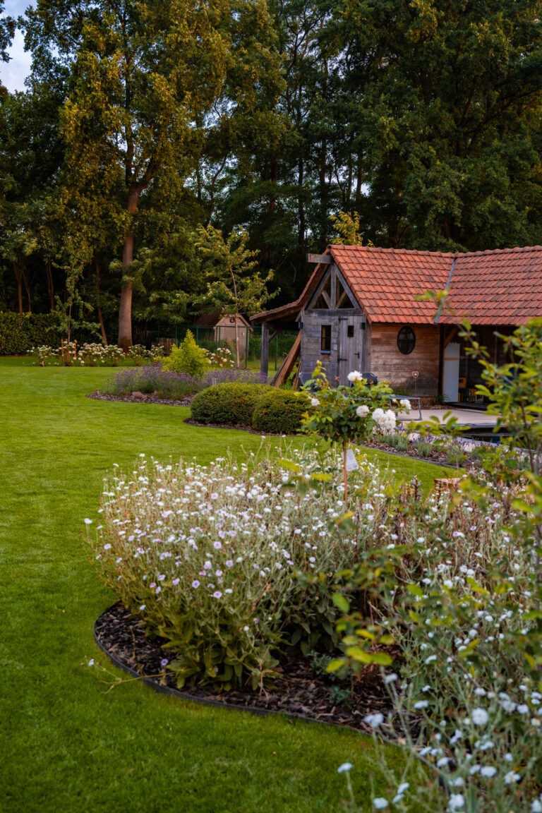 Tuin 2025 15
